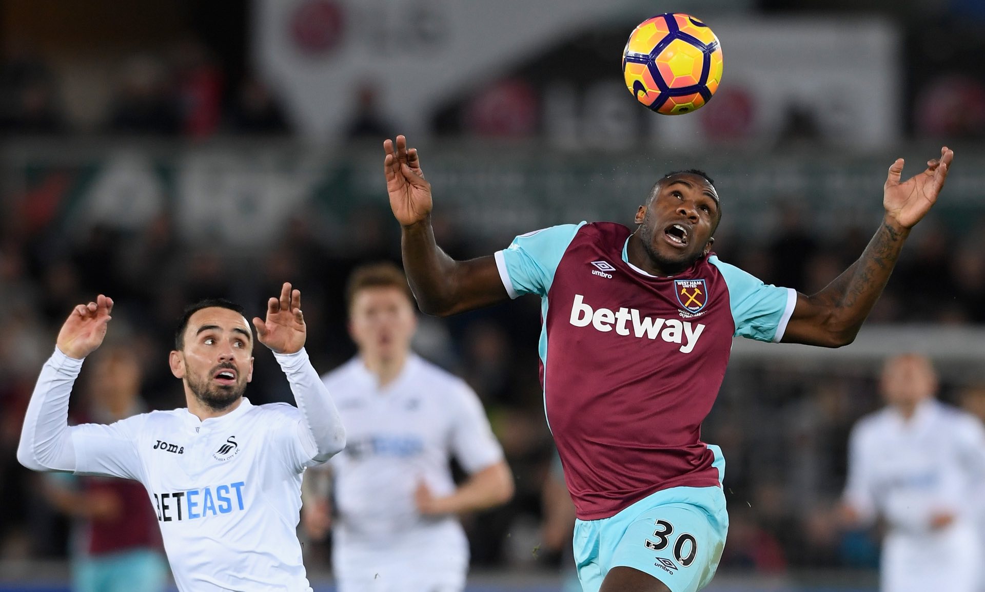 体育还有情 体育还有情